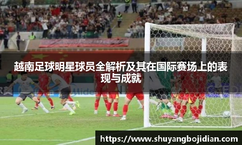 越南足球明星球员全解析及其在国际赛场上的表现与成就